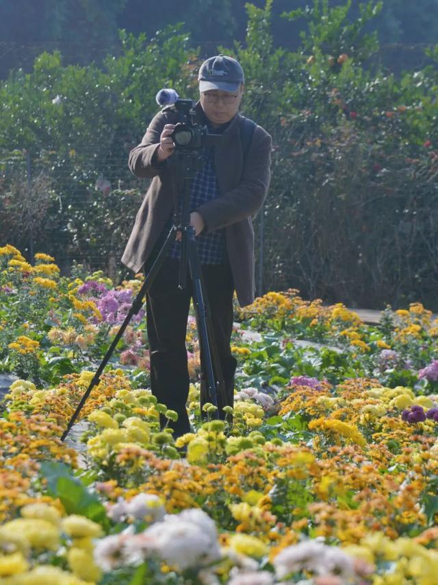 冬日限定！金堂这片花海，太美了！