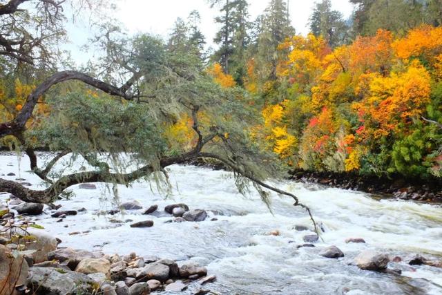别再只盯着桃花了！林芝的雪山湖泊春天一样封神