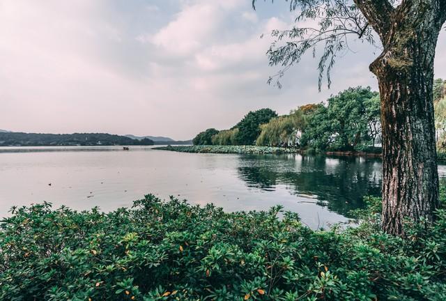 新年团圆，赴长三角赴一场六城年味之旅