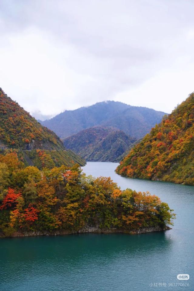 正式通车！全线免费！新挖赏秋天花板小城，绝美彩林不输九寨！地道美食50元吃爽！