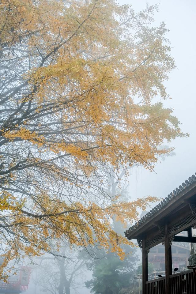 皖美秋日 | 石台秋景抢先看，随手一拍都是风景大片！