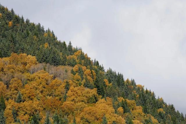 立即出发 | 直奔达古冰川，解锁第一份冬游攻略！