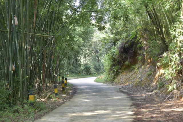 怀集骑行，路上都是风景！