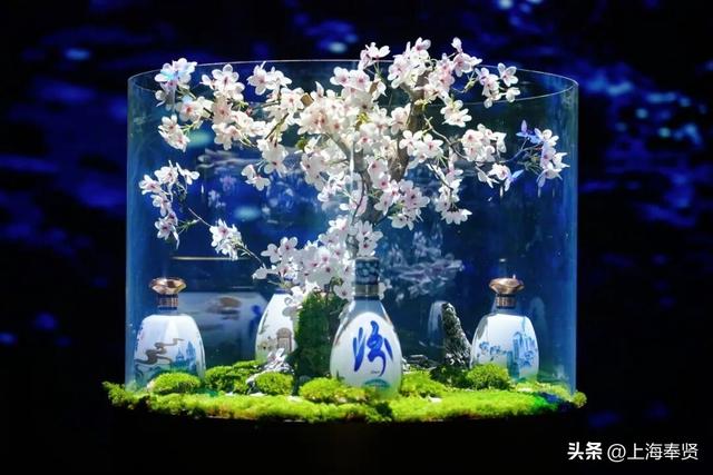 这座“非同一般”的博物馆亮相东方美谷核心区，打造文旅融合新地标