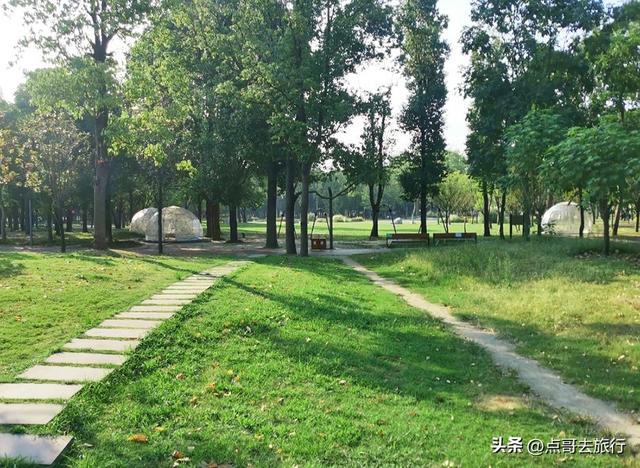 成都超级冷门公园，绿肺中的烟火成都，不要门票，1元公交直达！