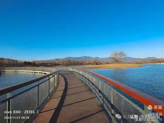 初冬北京玉河湿地公园游记|申艳娟