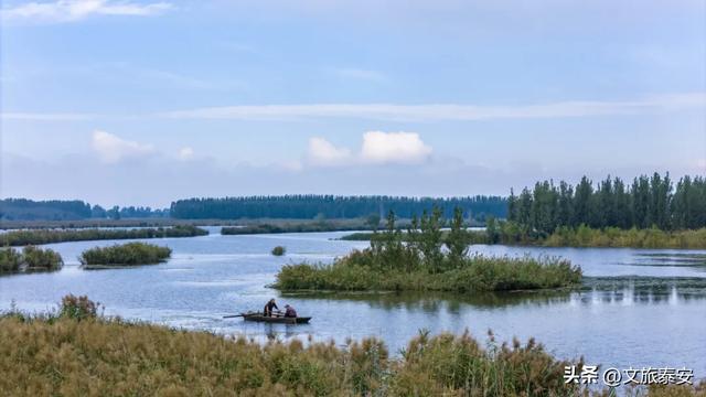 静湖、暖阳、慢时光!入冬后的东平湖已经美成人间的童话啦~