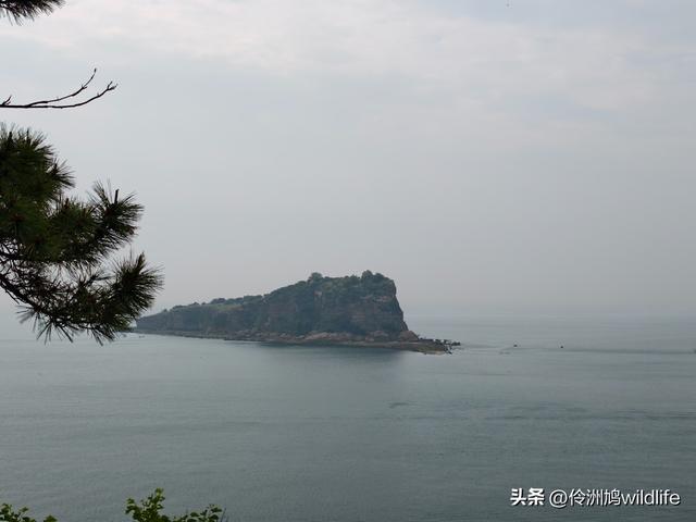 大连海之韵公园·棒槌岛