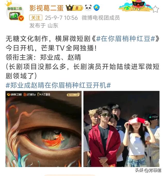 郑业成赵晴新剧开机