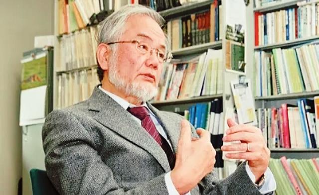 十年内第三位！日本科学家又拿诺奖，岛国能拿这么多为啥我们不行
