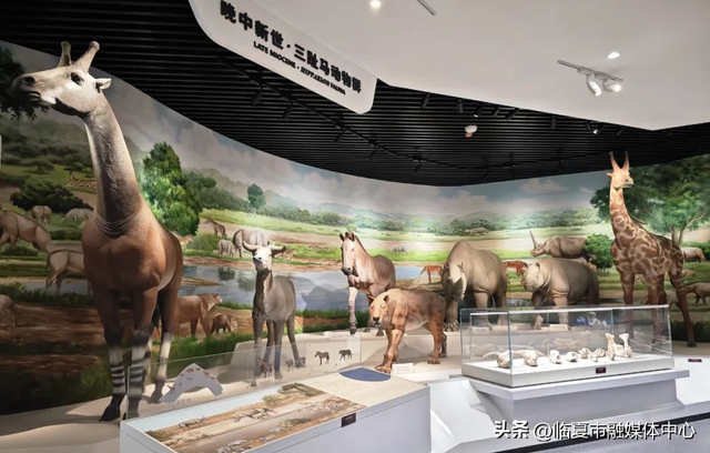 我想离开「浪浪山」，去临夏世界地质公园看看🥰