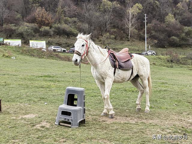 秦岭狮子沟牧场&牛奶湖