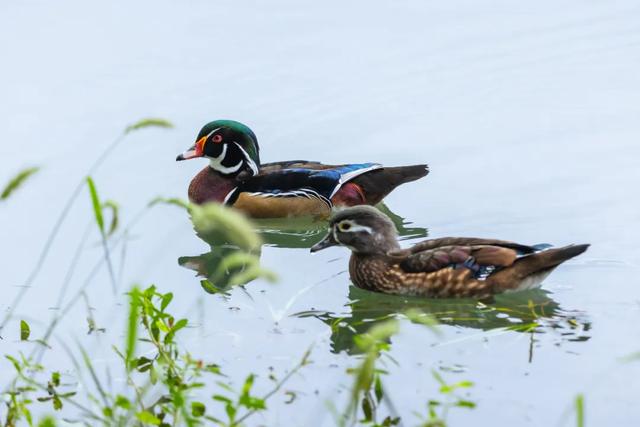 你的十二时辰,玄武湖承包了多少?