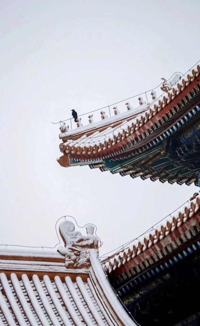 一天元旦假期，如何玩转高性价比旅行地？