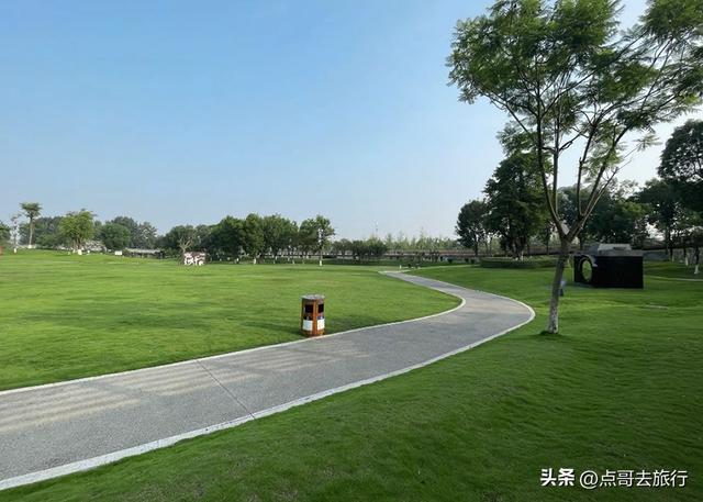 成都市内超级大草坪，美得让人惊叹，是摄影者的天堂，公交车直达