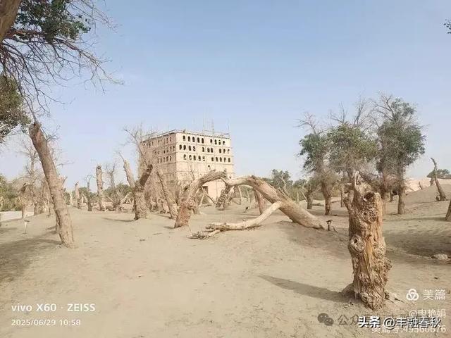 探秘新疆巴楚红海景区:自然与人文的交响| 申艳娟