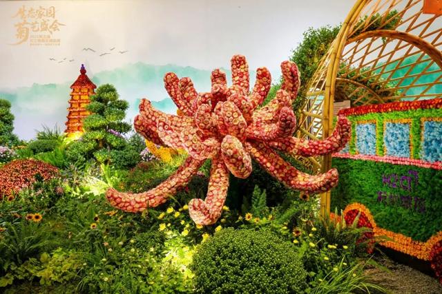 不愧是顶流！一大早就红了，人挤人持续好多天！萧山人家门口也有······