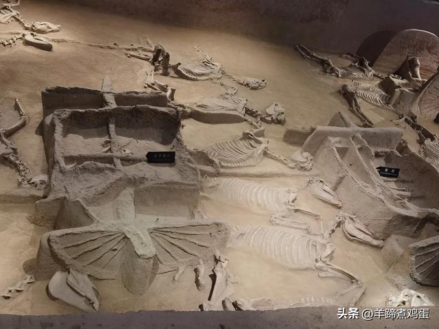 做几天洛阳人——游河南洛阳赏牡丹芬芳 总体概述(四)