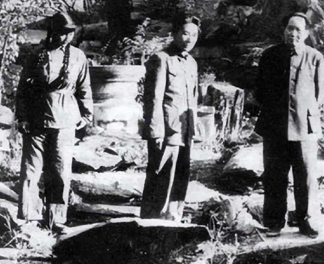 如果毛岸英不牺牲，毛主席会不会让他接班？历史早就给出了答案