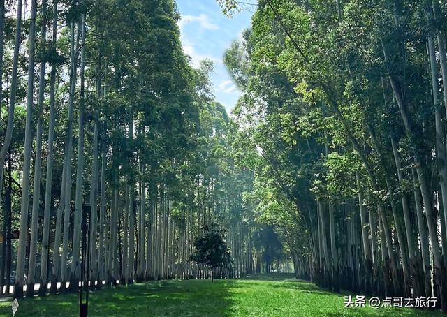 成都超级冷门公园，被称为“小西湖”，不要门票，地铁公交直达！