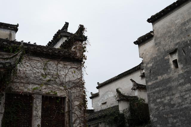 黟县西递村——从这里开始，慢慢翻开“徽派”的书