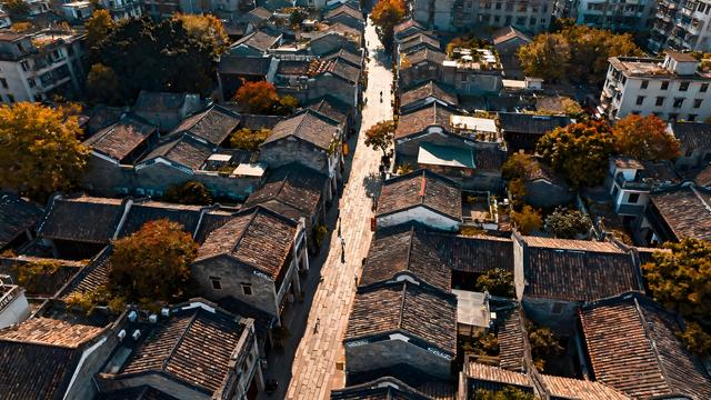 桂棹欸乃摇碎一江秋色，木棉灼灼织就绿城诗章！南宁暖霭中的花影