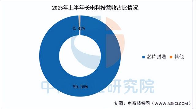 2025年中国先进封装行业市场前景预测研究报告（简版）