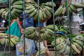 中方反制稳准狠，在仁爱礁拦截菲船后，对菲律宾香蕉进口又锐减图片