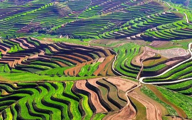 中国最珍贵的资源，不是石油，不是稀土，而是北方最常见的黄土层