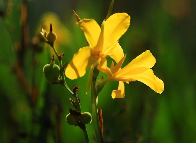 秋天的陇南，有什么好看的？