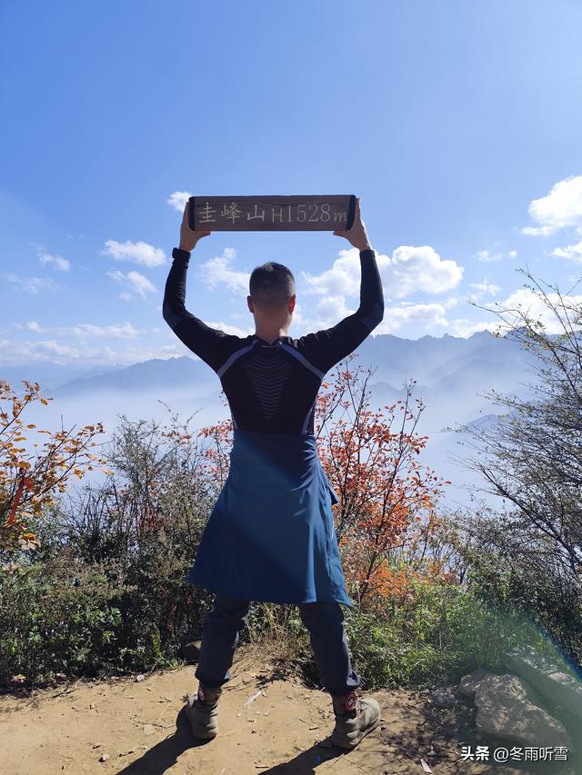 又见山山红叶飞