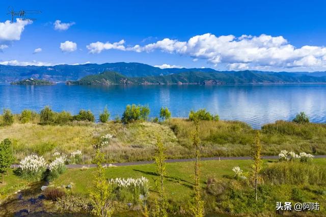 惊艳！曾经只有三户人家的小村子，悄然蜕变成泸沽湖畔的莫奈花园