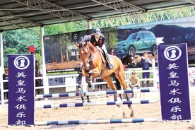 2025年第一届山西阳泉马术场地障碍赛收官图片