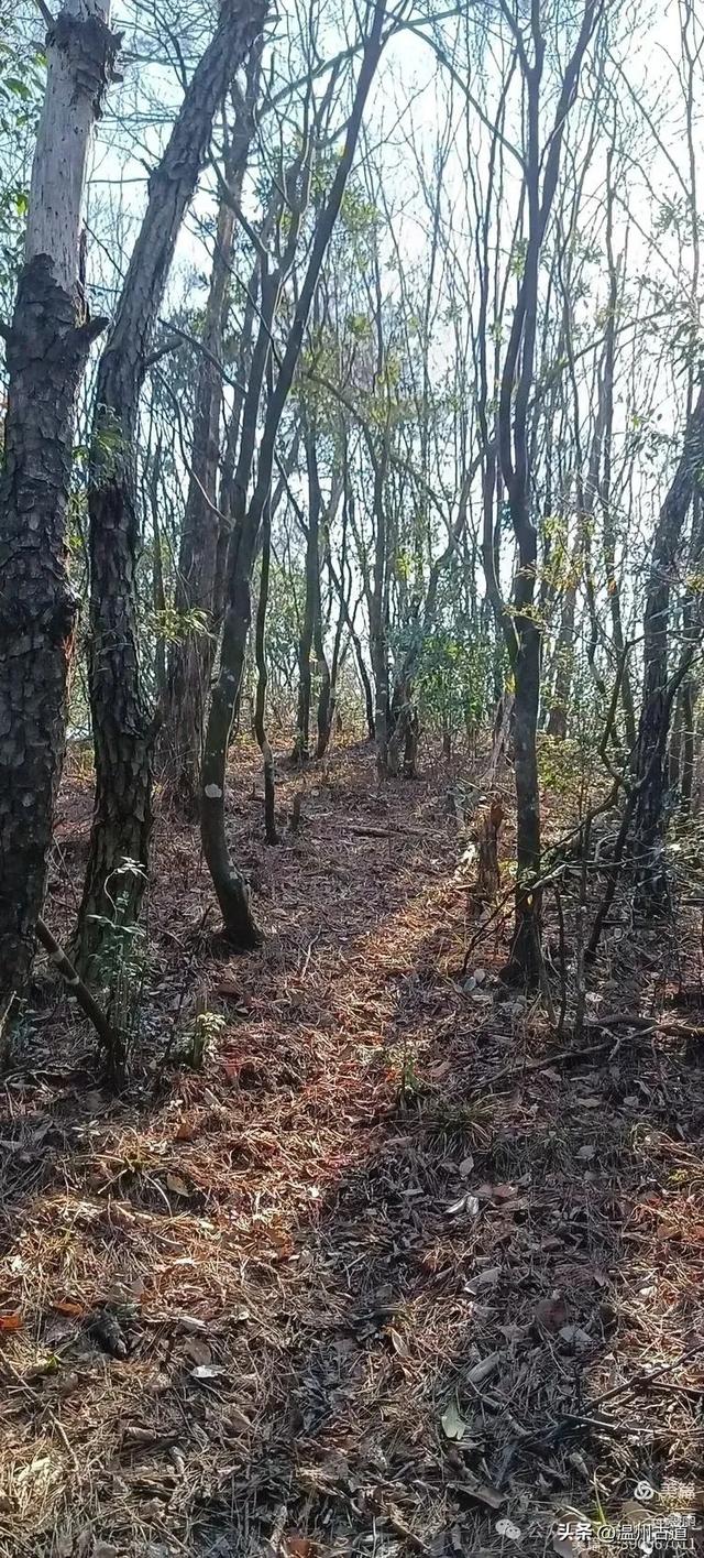 探秘楠溪江源头!这条海拔千米以上的草甸山脊只有极少数驴友知道