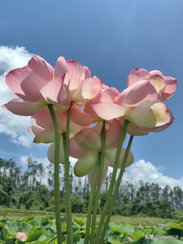 两性关系：女人多大岁数，就不想男人了，过来人告诉你答案