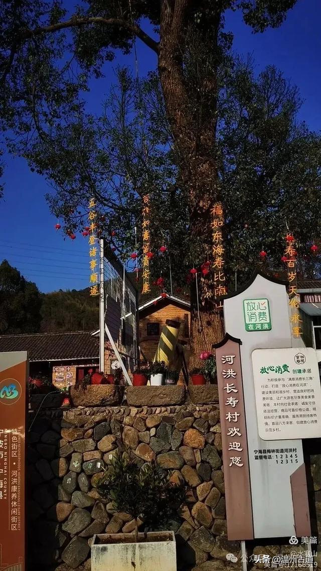 踏秋宝地，来宁波第一长寿古村，长寿之秘，藏于雁苍山水间！