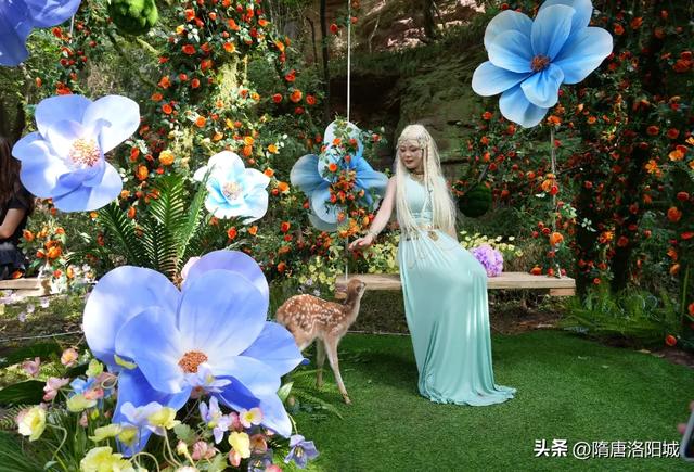 太美啦！@各位小仙女，洛阳这里上新“绿光森林”梦幻场景！