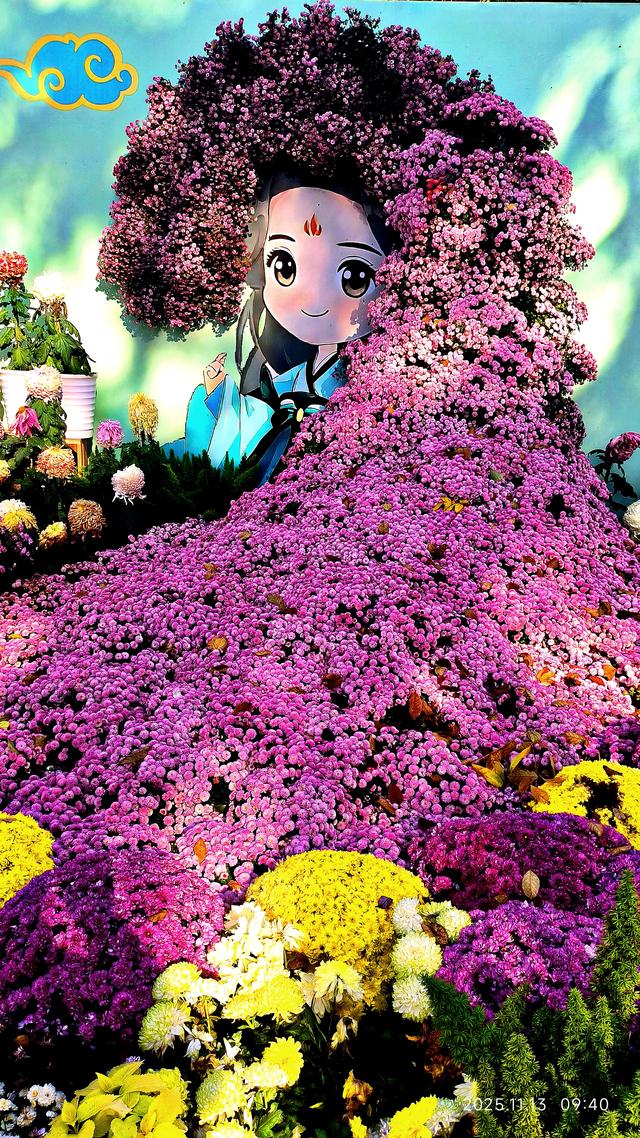 中山公园的菊花