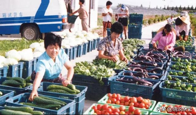 1978年	，他被紧急调往北京，却对华国锋说了一句“不中听”的话