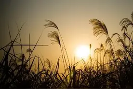 我给岳父母买房养老，他们却把我当提款机，我该如何反击？图片