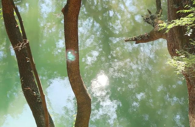 今天来到玉溪,误入龙泉胜地,古寺龙宫,泉池清澈,桃源仙境