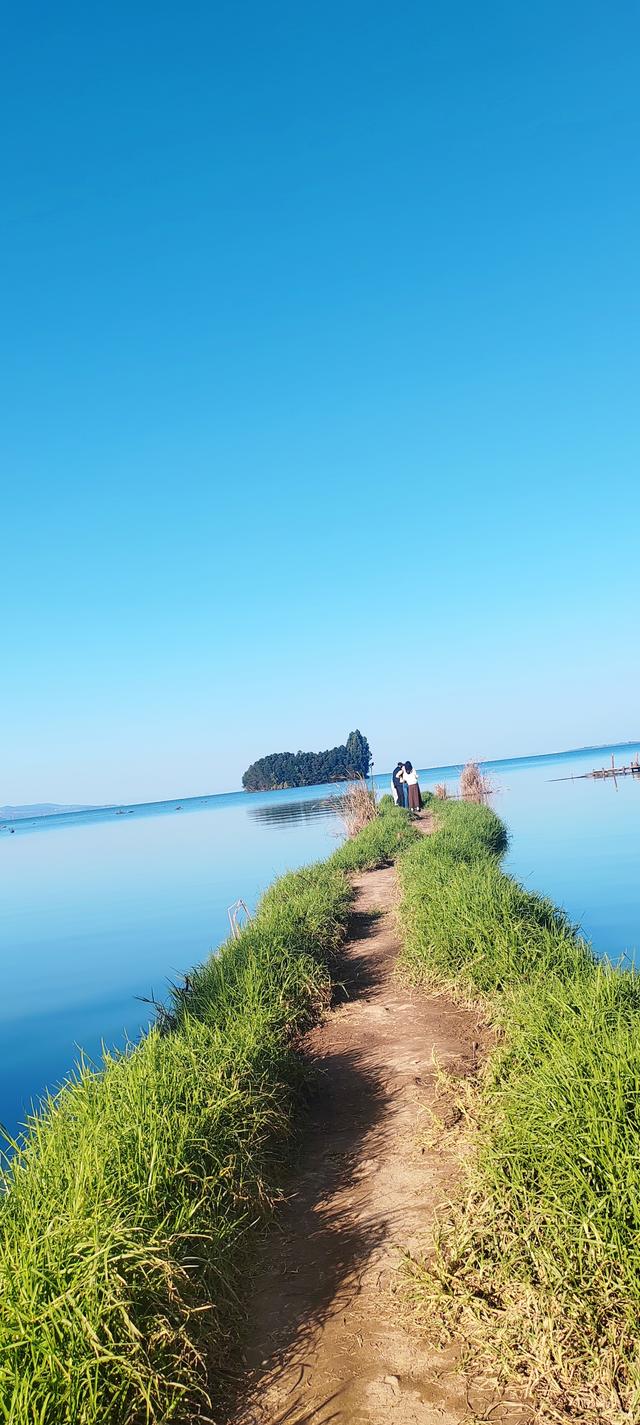 鲸鱼湾旁滇池边，水杉红透冬日水境