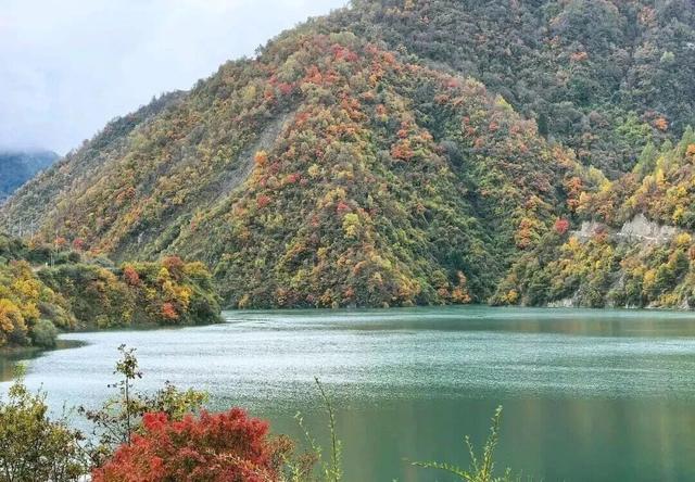 【美丽四川】平武天母湖，邂逅一场彩林与碧水的秋日盛宴‖柳红樱