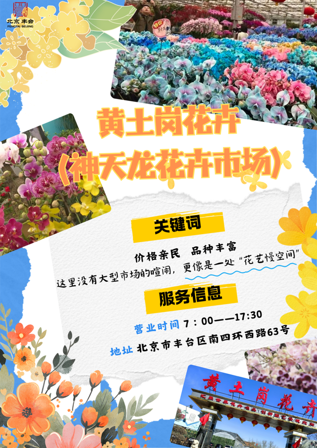 丰台这7家宝藏花卉市场，承包你冬日的盎然“生机”
