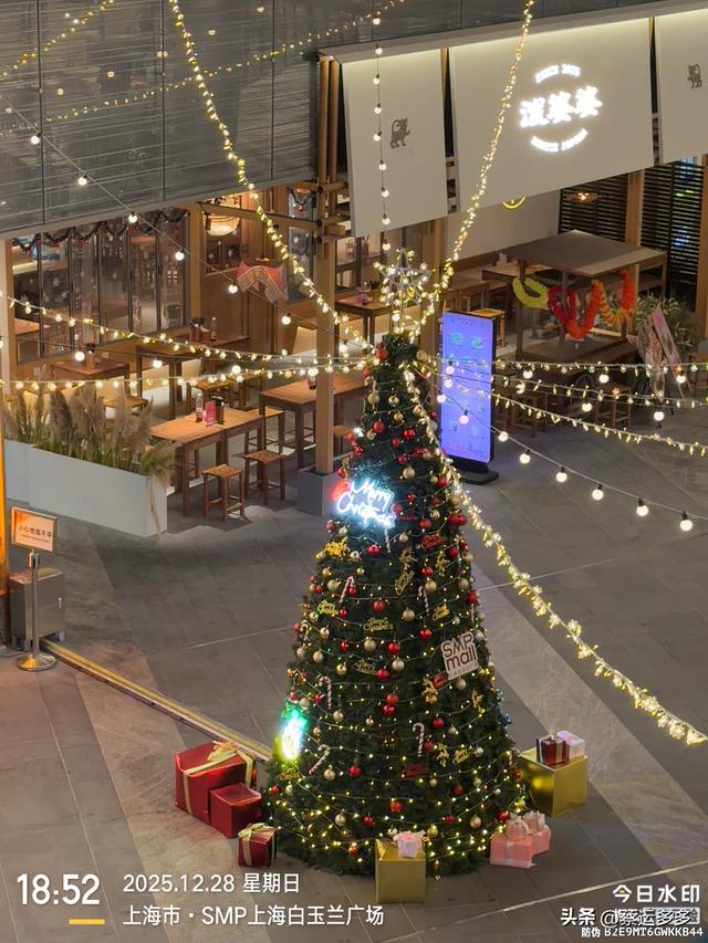 在北外滩，与圣诞和黄浦江撞个满怀