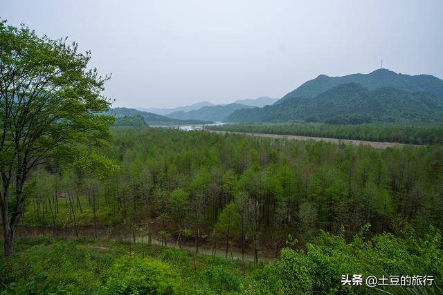 第3，皖南川藏线自驾游，红杉林偶遇小可爱脱衣服，我要不要帮忙