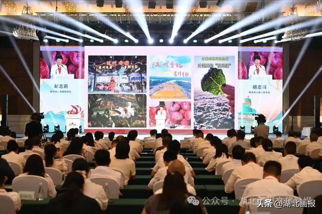【知音湖北】2025年随州市文化旅游发展大会召开