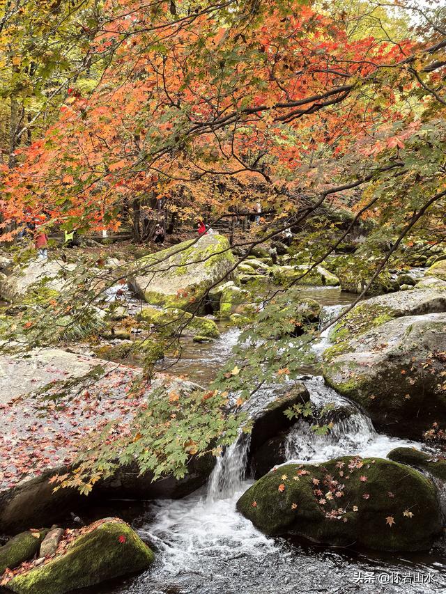 2025辽宁赏秋之旅日记(3)——游览洋湖沟和老边沟