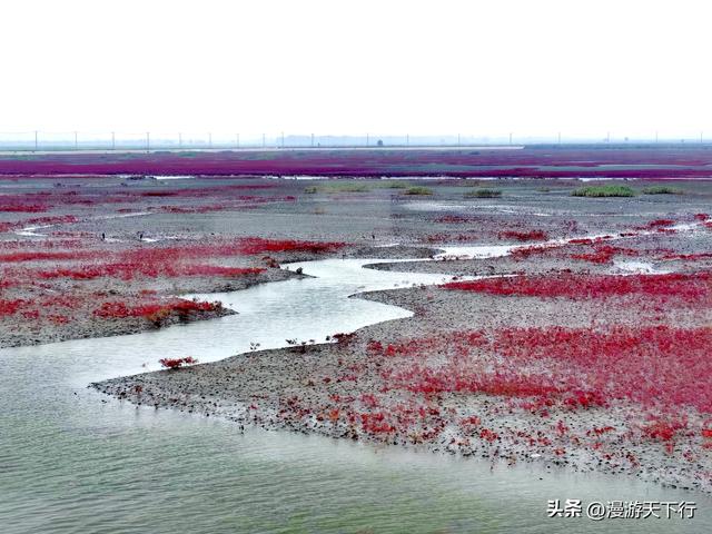 分享一个免费的红海滩，景色一点不差盘锦红海滩，