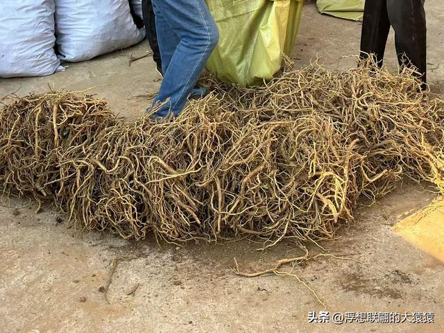 重游莱芜和庄明代建村的老姑峪